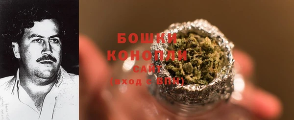 трава Аркадак