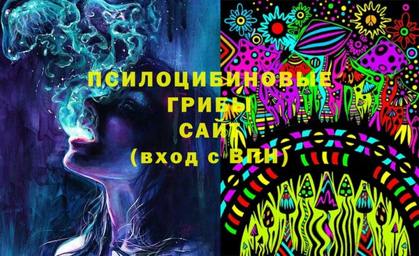 трава Аркадак